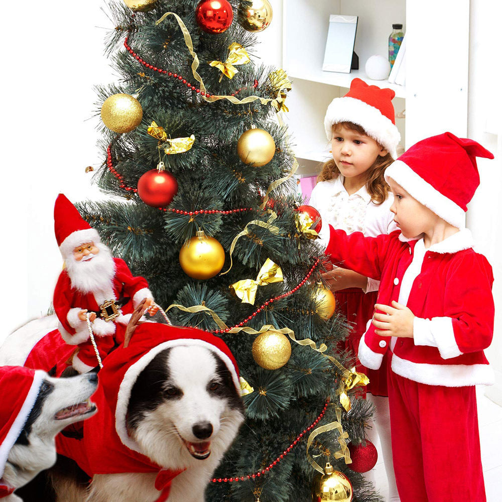 Santa Rider Dog Costume