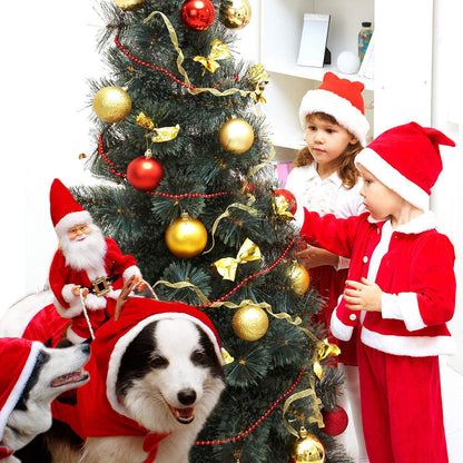 Santa Rider Dog Costume