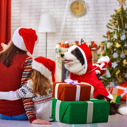 Santa Rider Dog Costume